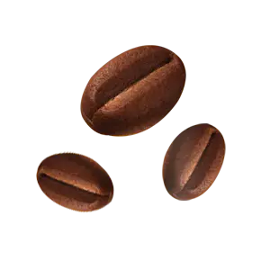 biskut