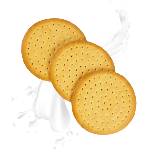 Biskut Bersusu