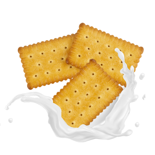 Biskut Susu Perisa Susu